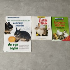 Animaux lapin nain d'occasion  Audenge