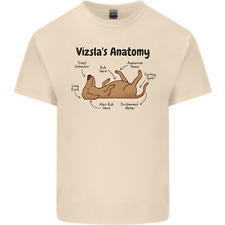 Hungarian magyar vizsla for sale  COVENTRY
