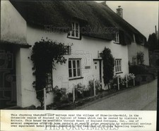 Press photo thatched for sale  Memphis