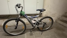 Erwachsene fahrrad lakota gebraucht kaufen  Glauchau