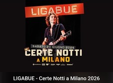 Biglietto concerto ligabue usato  Italia