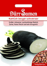 Winterrettich langer schwarzer gebraucht kaufen  Mannheim