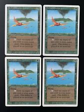 Mtg birds paradise gebraucht kaufen  Frankfurt am Main