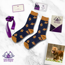 Golden cocker spaniel for sale  CAMBERLEY