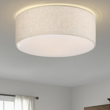 Light ceiling light for sale  Eugene