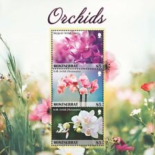 Montserrat 2019 orchids for sale  USA