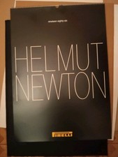 Calendario pirelli 2014 usato  Novi Ligure