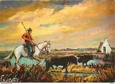Animaux chevaux camargue d'occasion  Fruges