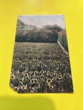 1910 post card for sale  ST. AUSTELL