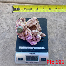 Rare live rocks for sale  El Cajon