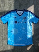 Yorkshire cricket vikings for sale  BOGNOR REGIS