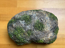 Zilla medium rock for sale  Elizabeth