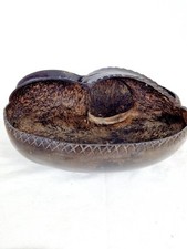 Coco fesses seychelles d'occasion  Bazas