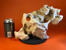 Texas tennessee holey for sale  Berkley