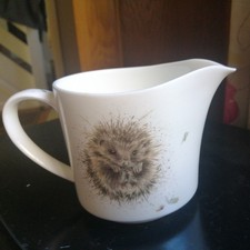 baby hedgehog for sale  MONMOUTH