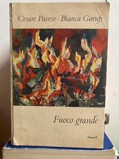 Fuoco grande cesare usato  Palermo