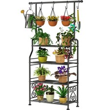 Plant stand indoor for sale  Eugene