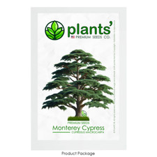 Monterey cypress tree for sale  Claremont