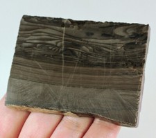 314.5ct natural gala for sale  Walnut