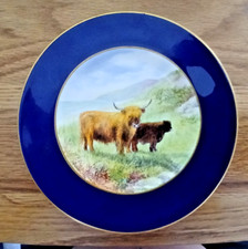 Hand painted coalport for sale  NEWARK