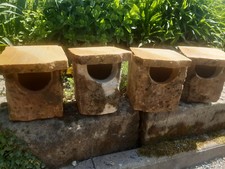 Sandstein halbhöhle nisthöhl gebraucht kaufen  Glashütte