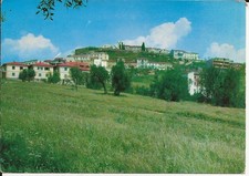 montiano falesco usato montiano falesco usato Casarile