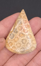 Fossile koralle cabochon gebraucht kaufen  Berlin