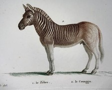 1808 bapt. huet d'occasion  Expédié en Belgium