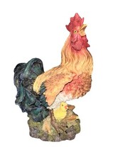 Chicken blue tail for sale  Wilmington