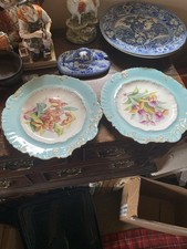 Pair botanical plates for sale  YORK