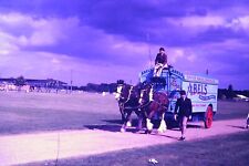 Abels vintage horse for sale  BRISTOL