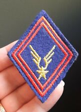 N13c écusson insigne d'occasion  Folschviller