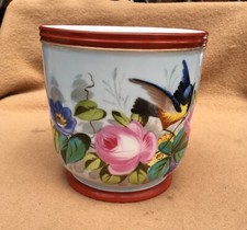 Large china plant for sale  GAINSBOROUGH