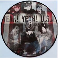 Beatles picture disc usato  Italia
