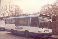 Bus photo l655mfl for sale  SAFFRON WALDEN