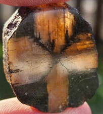Chiastolite andalusite crystal for sale  WISHAW