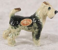 lakeland terrier for sale lakeland terrier for sale CAMELFORD