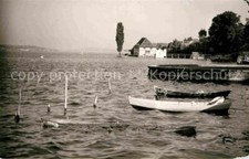 42860527 bodman bodensee gebraucht kaufen  Deutschland