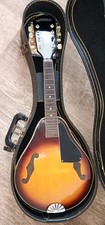 Mandolin project parts for sale  Lincolnton