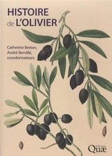 Histoire lolivier catherine gebraucht kaufen  Berlin