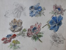Louis dupuis watercolor d'occasion  Expédié en Belgium