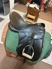 Kieffer wein dressage for sale  Brownsboro