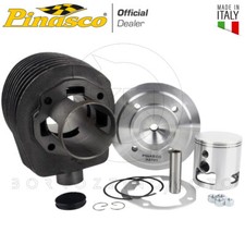 Pinasco kit gruppo usato  San Marco Evangelista