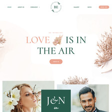 Wedding plan websites for sale  Elmhurst