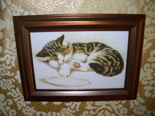 Kitten naps bronze for sale  Fresno