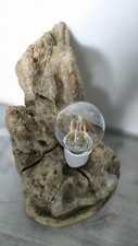 Driftwood floor lamp for sale  BROXBURN
