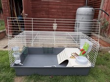 Rabbit guinea pig for sale  SLOUGH