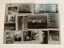 1942 rig fotos gebraucht kaufen  Dürbheim