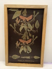 Threshold wall decor for sale  Madison