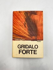James baldwin gridalo usato  Fabriano